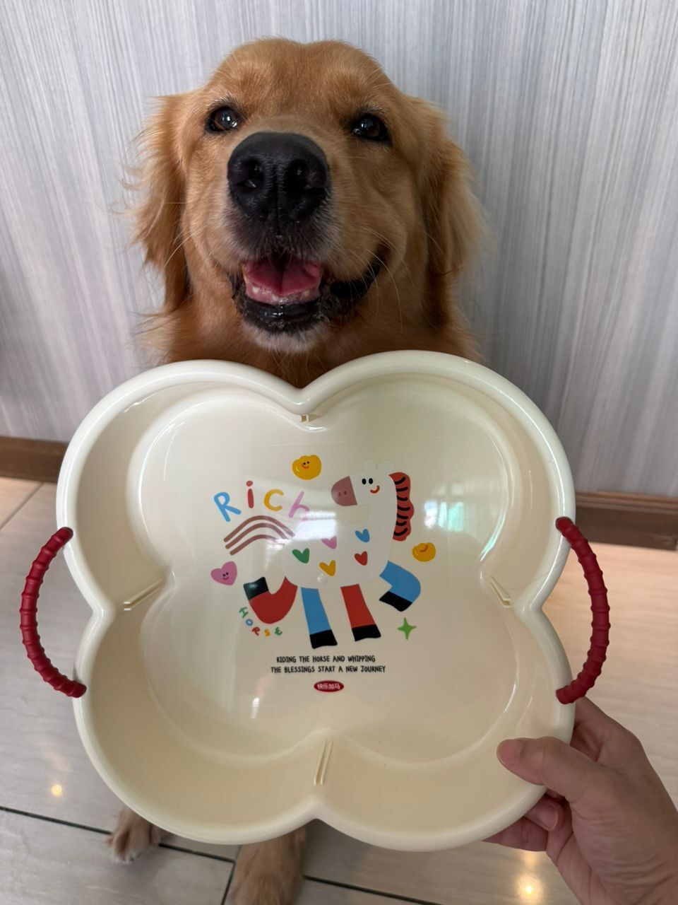 WhatsApp Image 2026-02-06 at 15.54.58