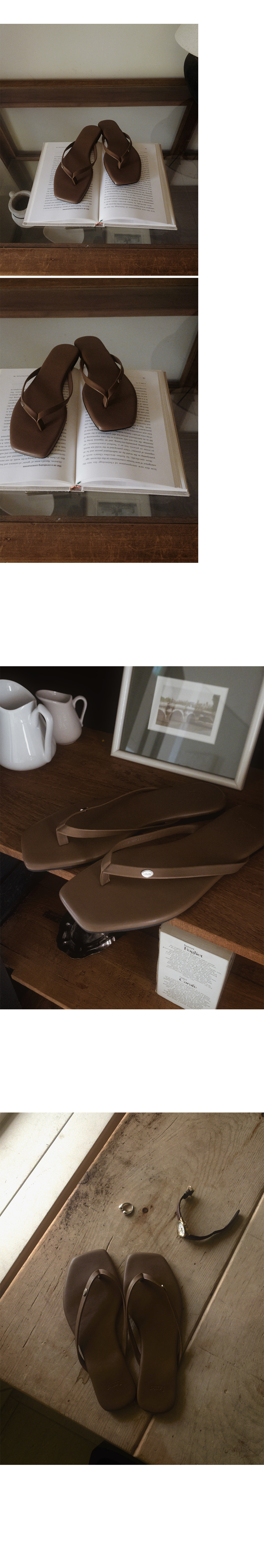 brown_1_02