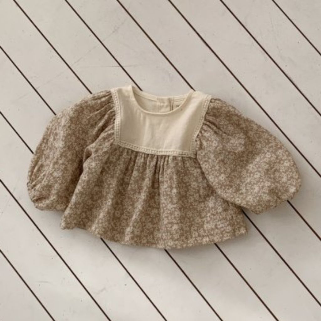 1768506586_1144829977