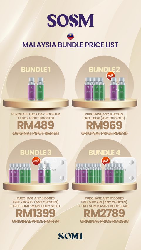 马来西亚配套 English