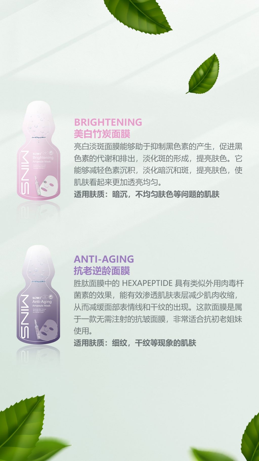 MASK PPT 简体_page-0003