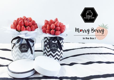 MERRY BERRY IN THE BOX-01.jpg