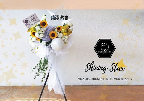 SHINING STAR-01.jpg