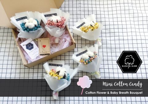 MINI COTTON CANDY-01.jpg