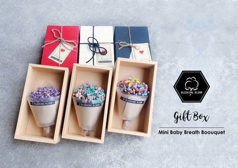 MINI BB GIFT BOX-01.jpg