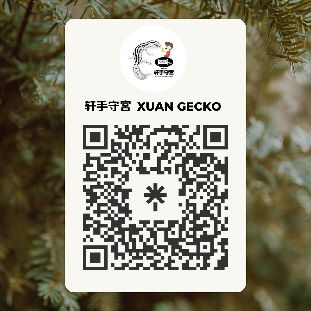 individual qr code (1)