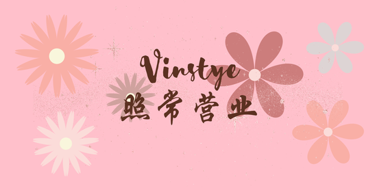  | Vinstye