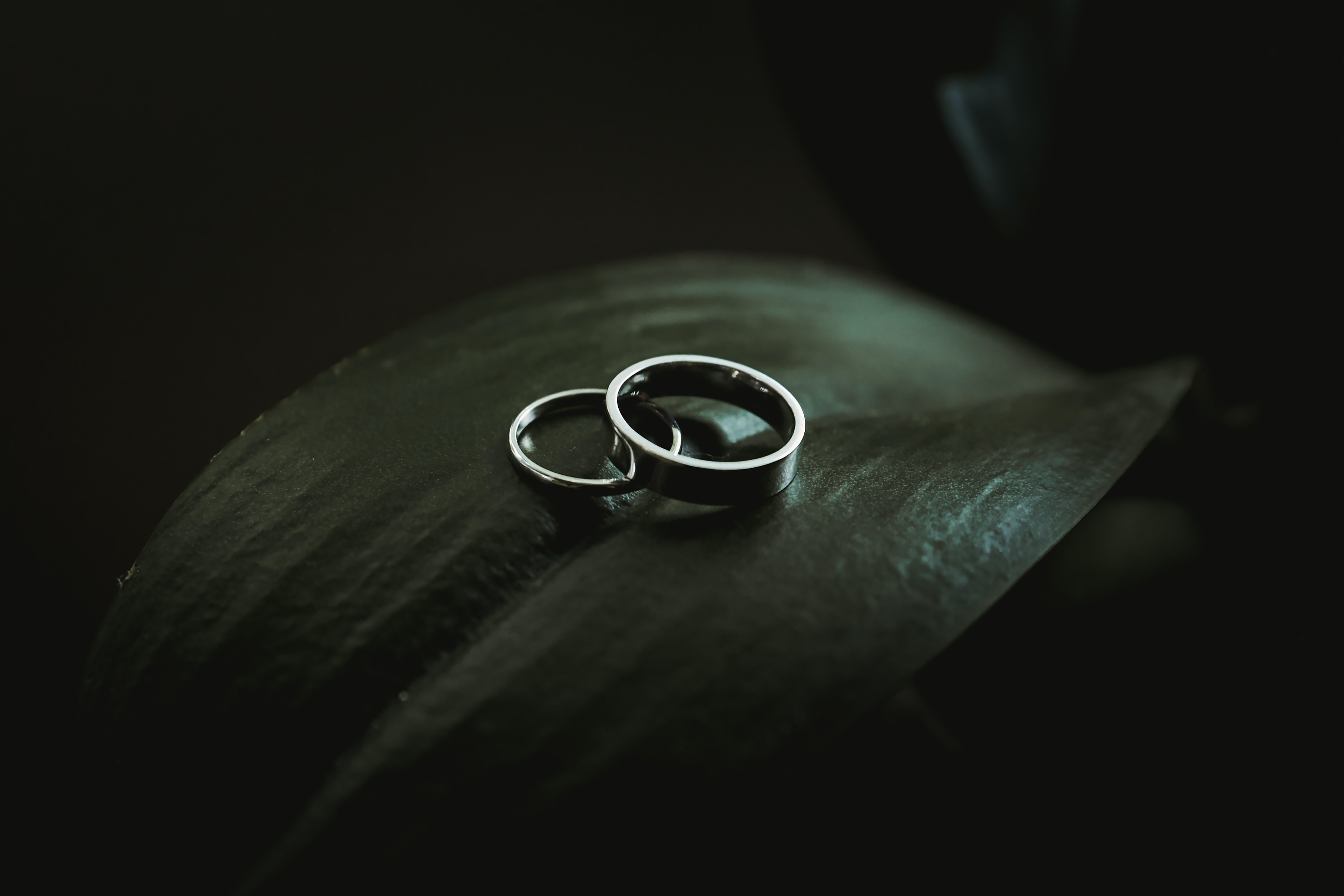 amanda-mocci-Zyp3t67rrP4-unsplash (1)