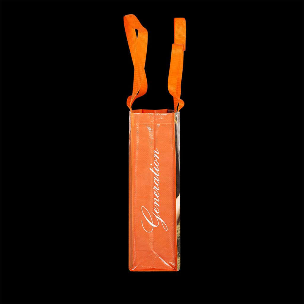 GROCERY-BAG-ORANGE-4