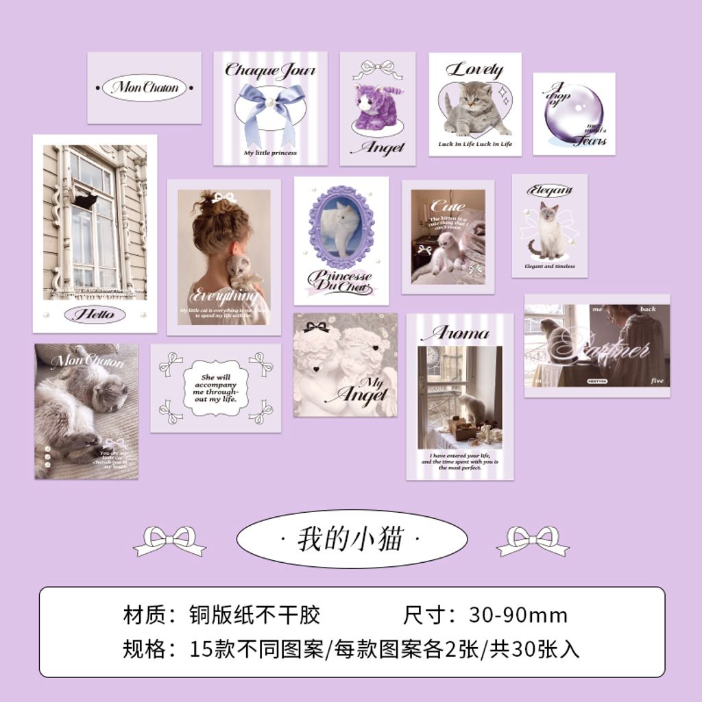 S00579_我的小猫