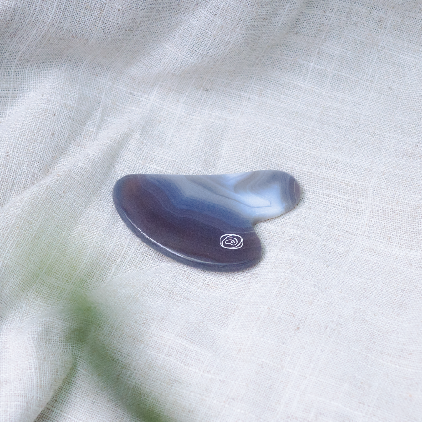 montage ear 撥筋板01