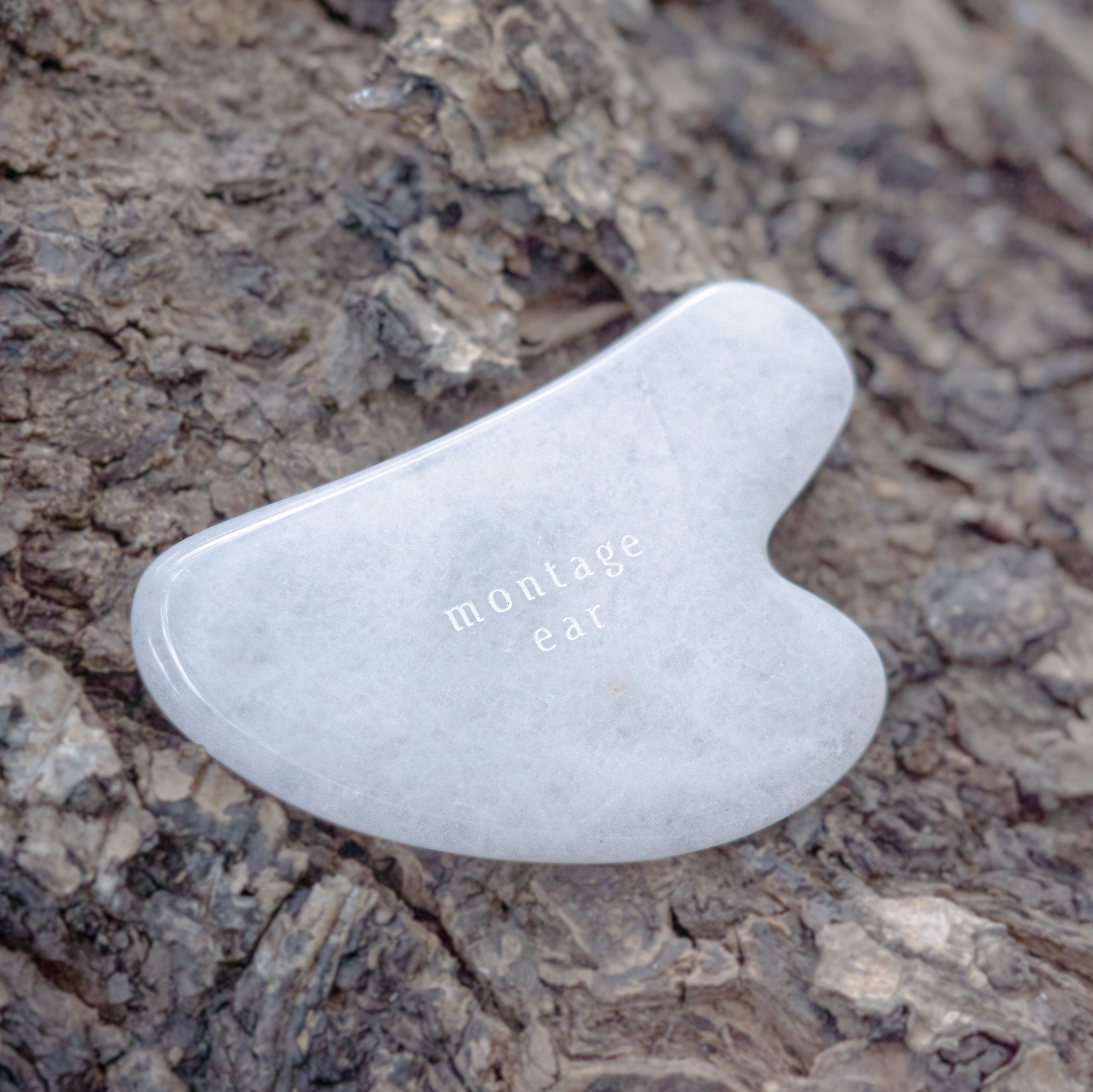 montage ear 撥筋板-05