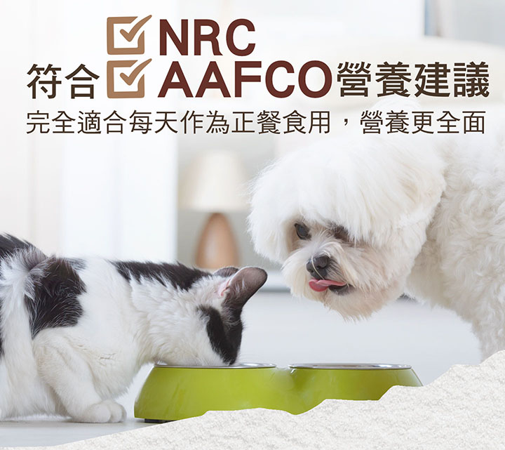 獵食客3