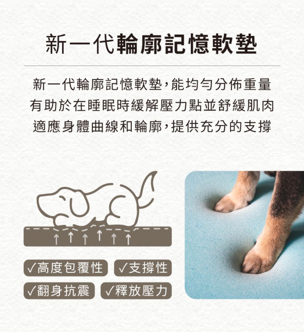 圖層 5