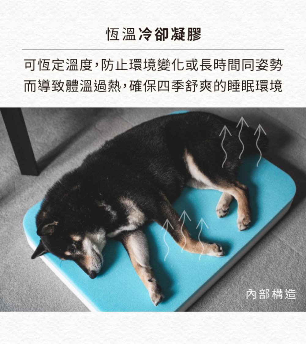 圖層 6