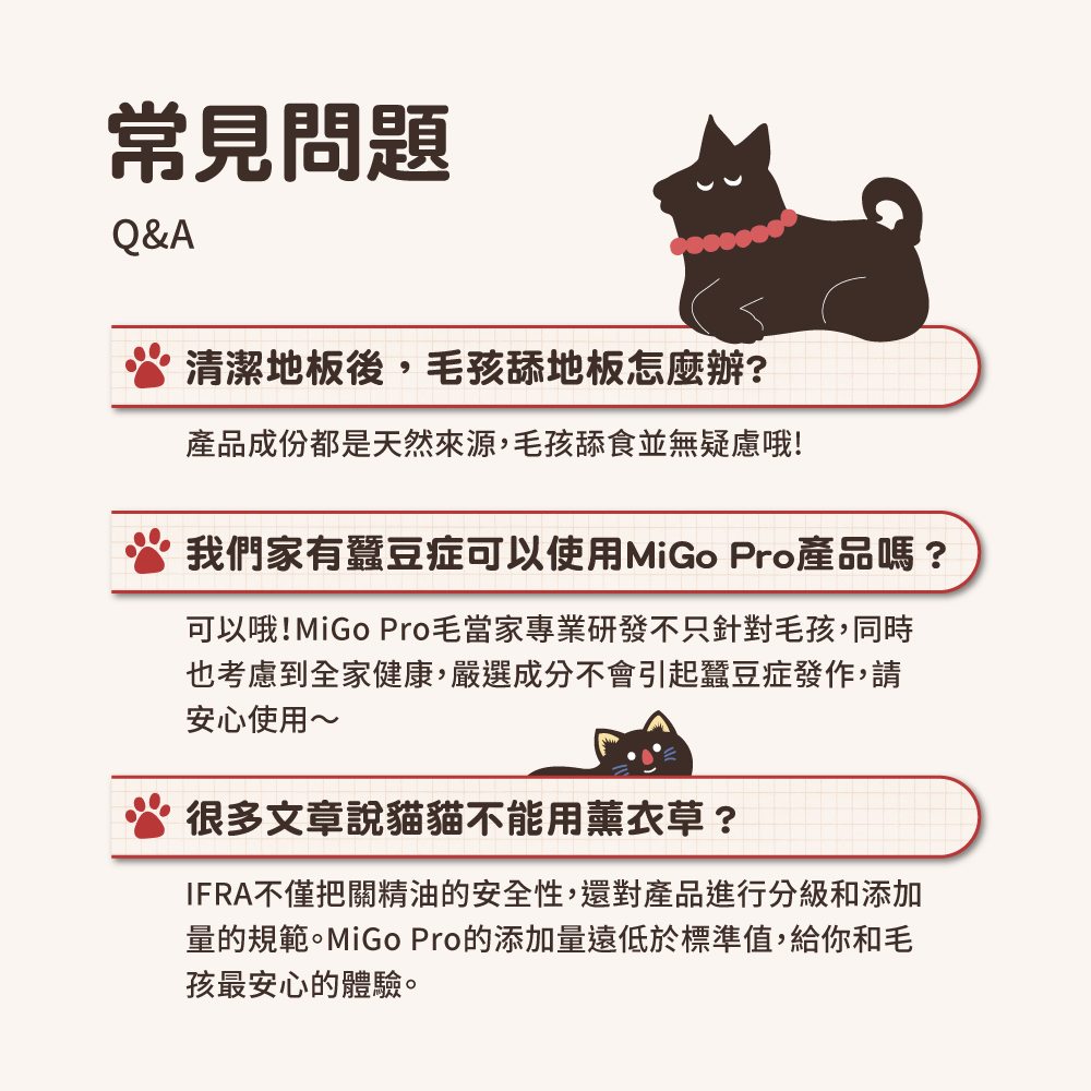 圖層 11