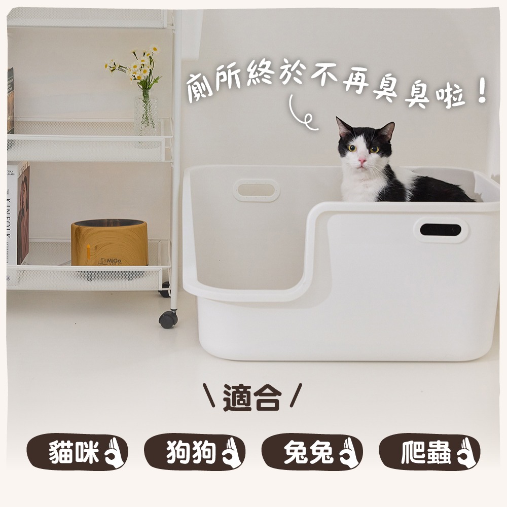 圖層 10