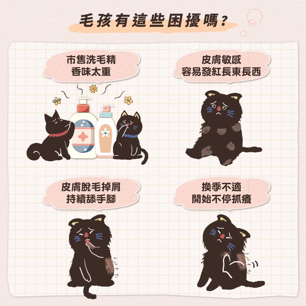 圖層 2