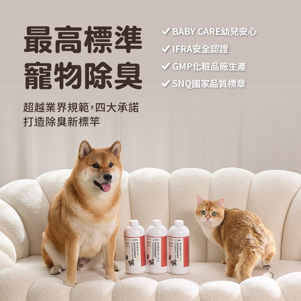 圖層 2