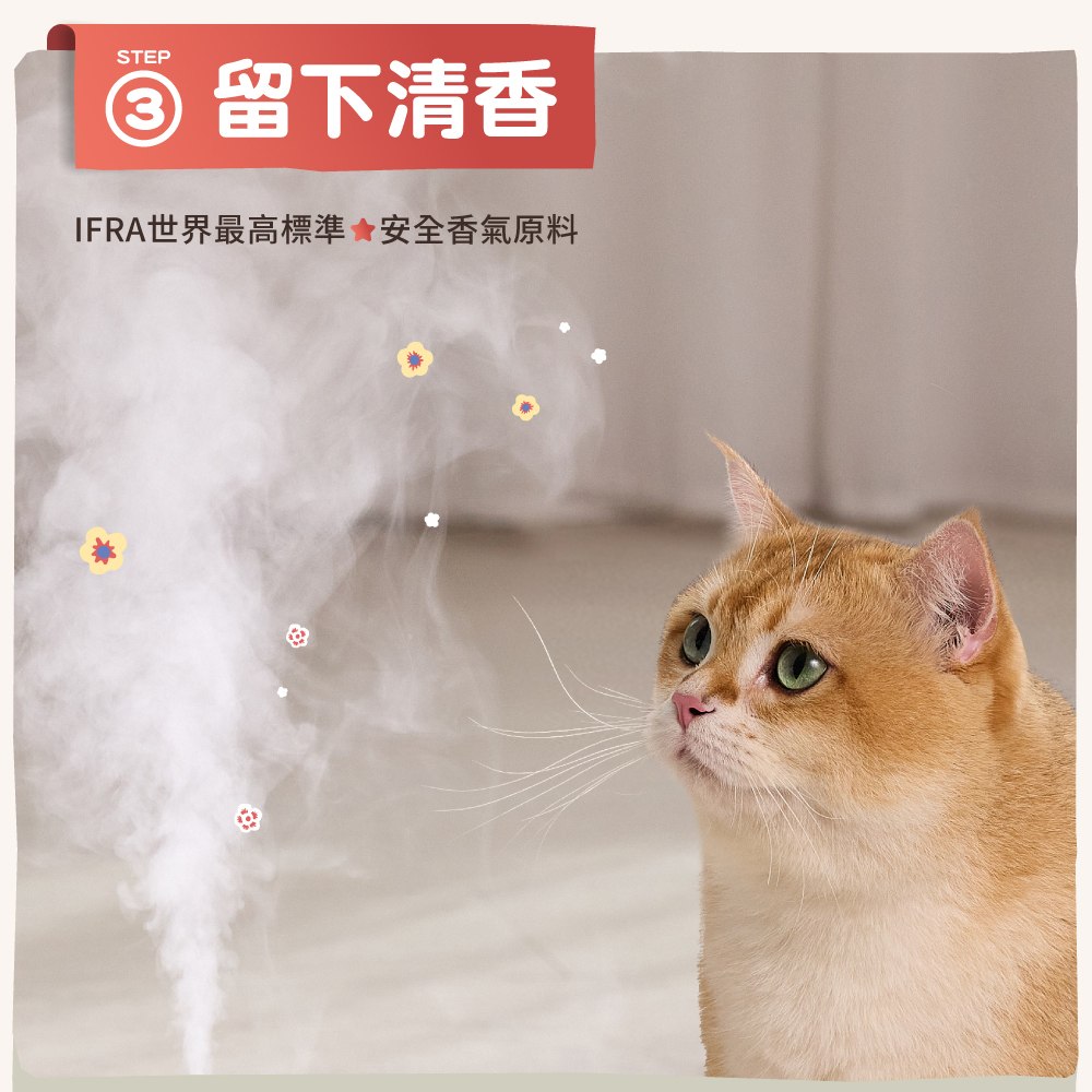 圖層 6