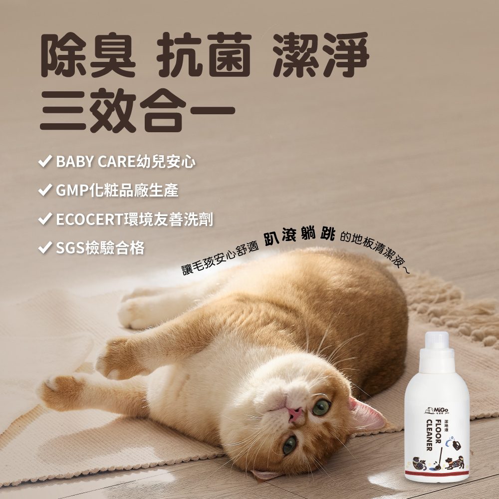 圖層 1