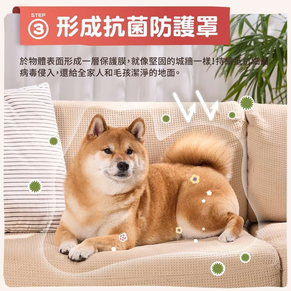 圖層 6