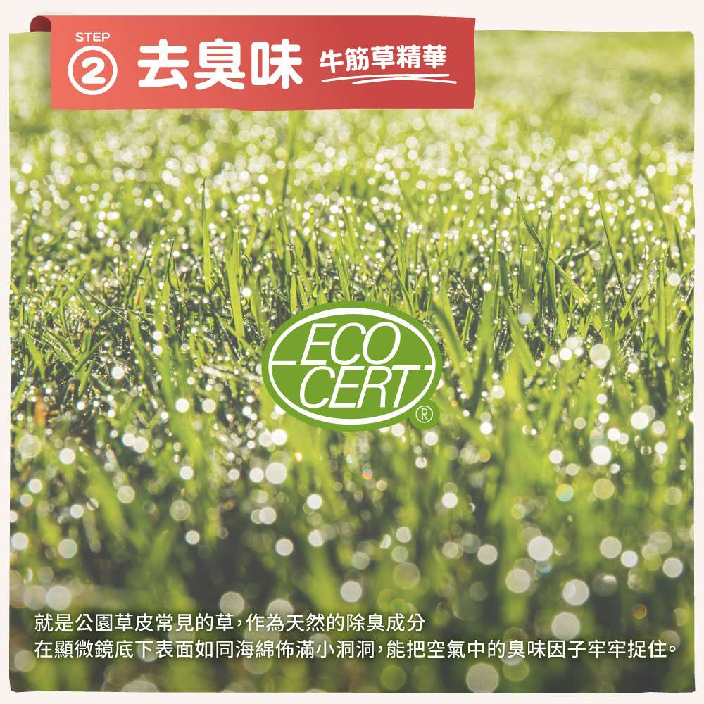 圖層 5