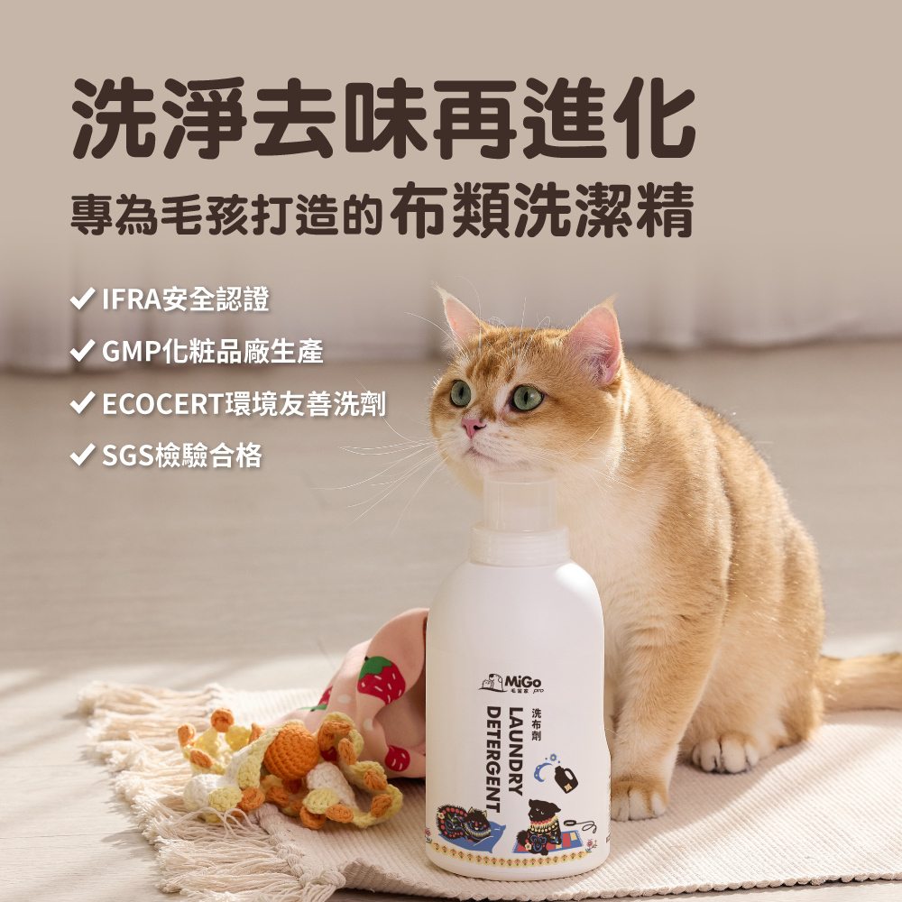 圖層 1