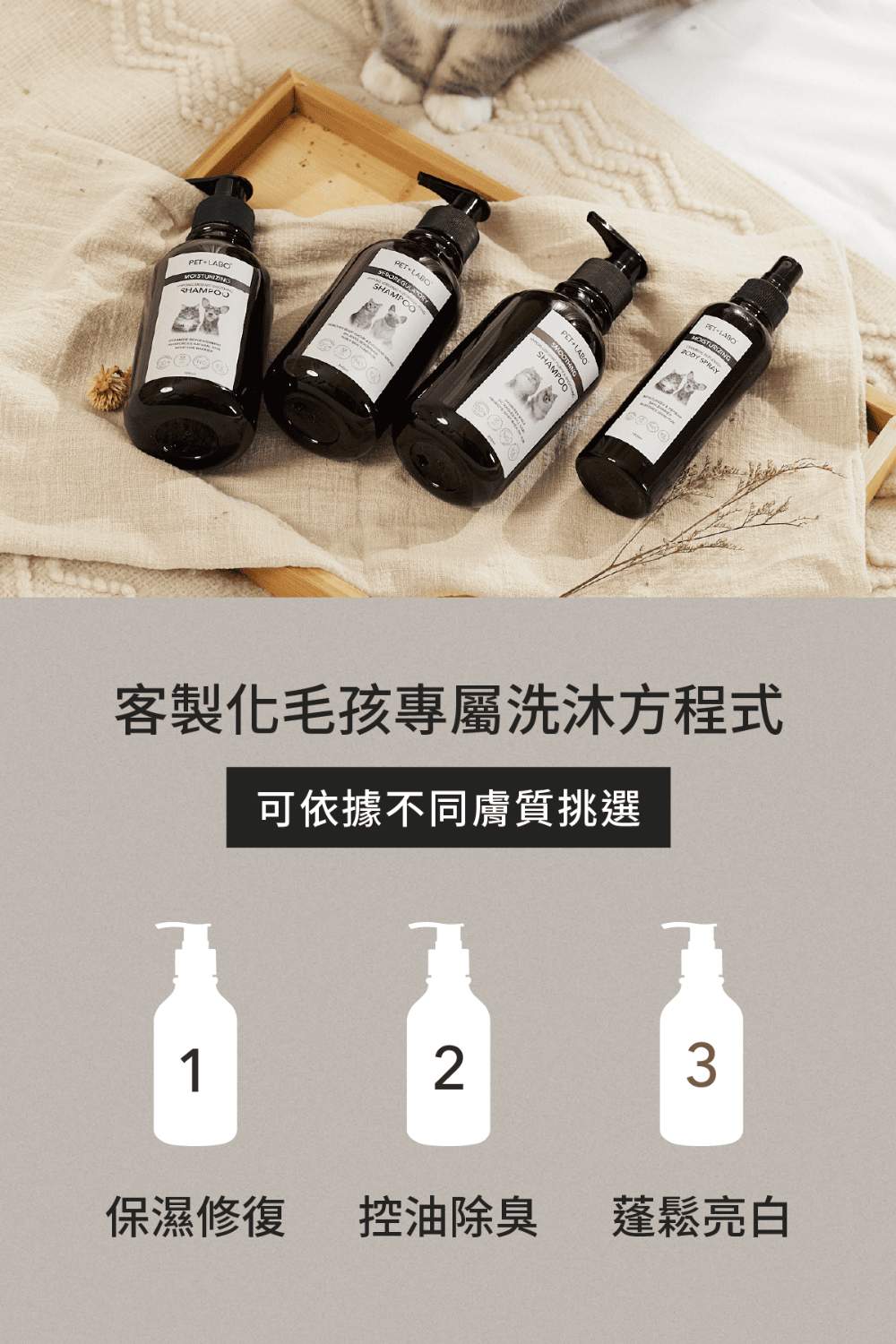 圖層 15