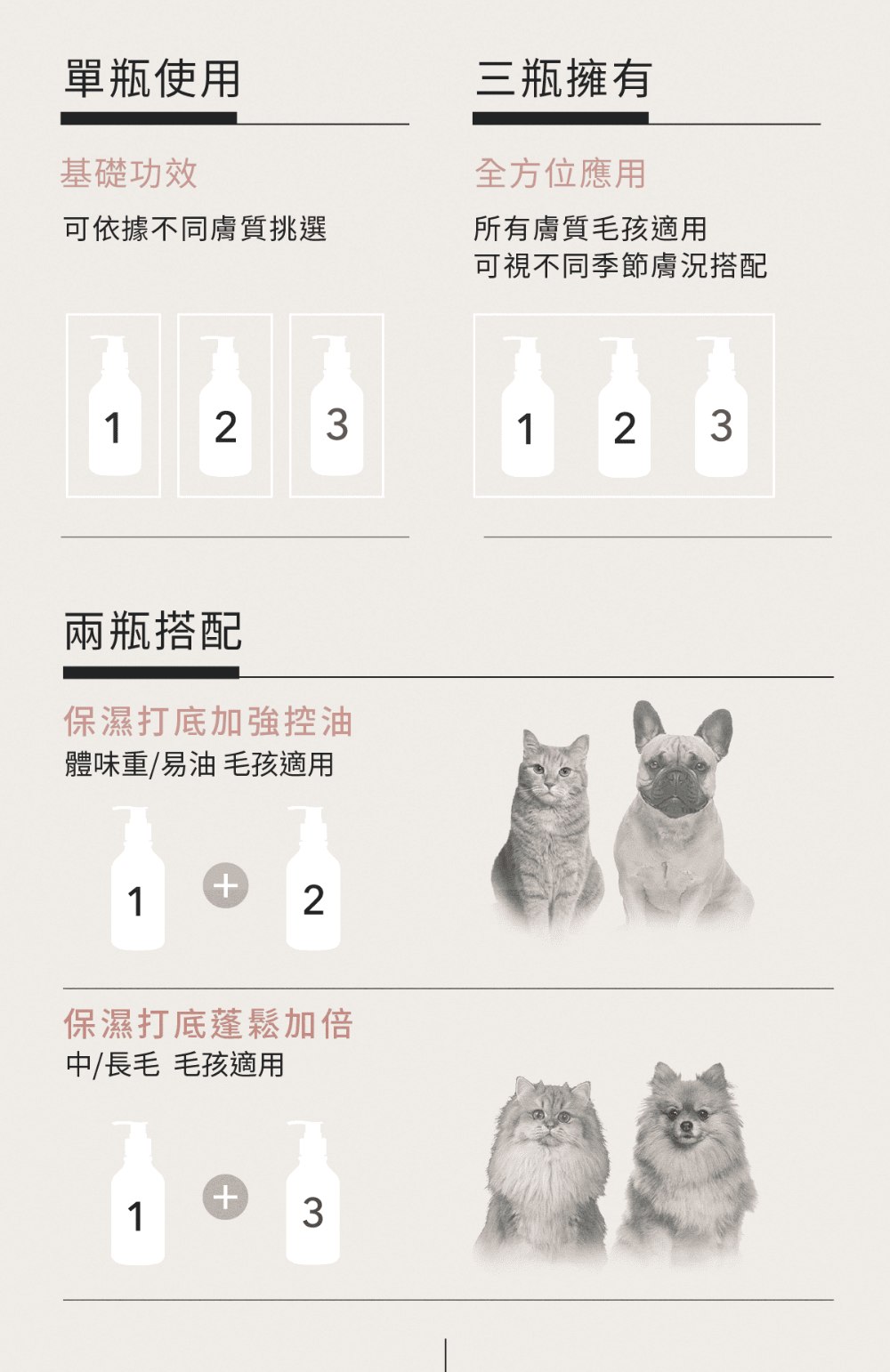 圖層 17