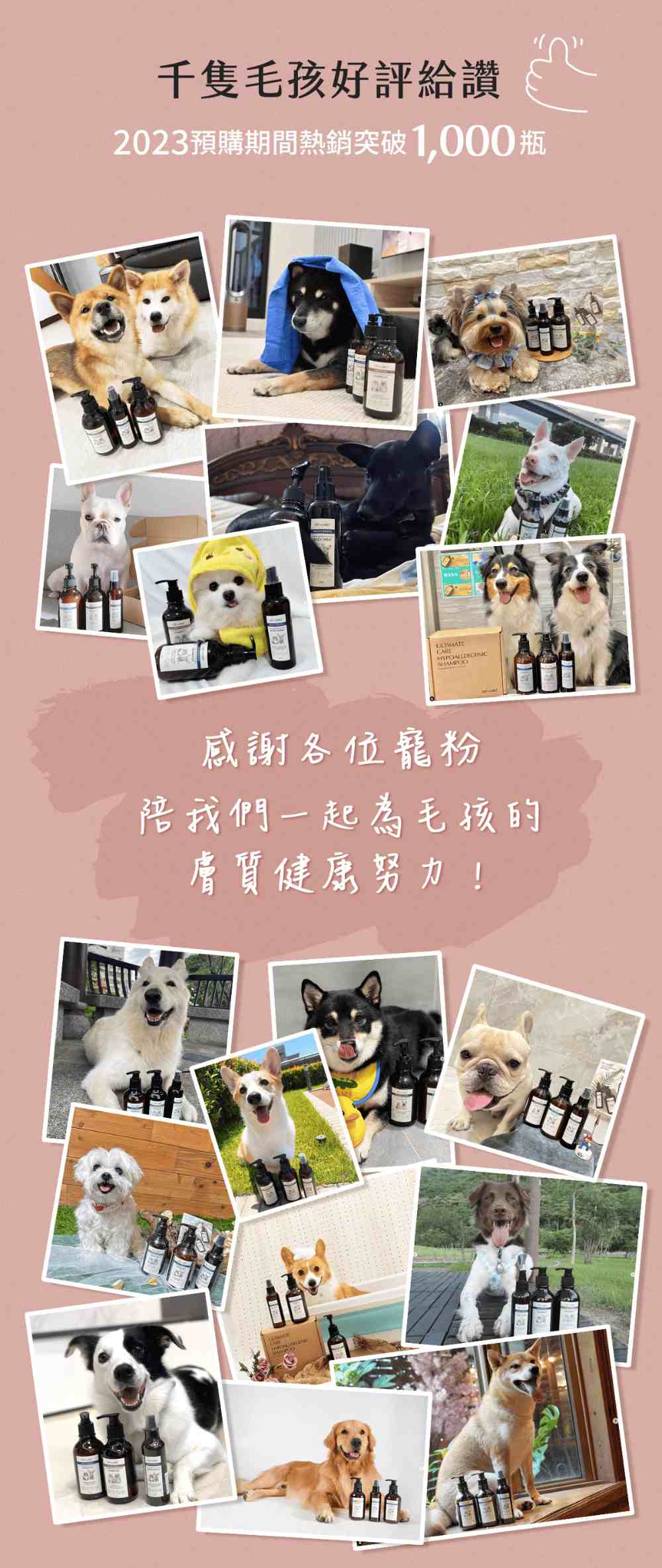 圖層 3