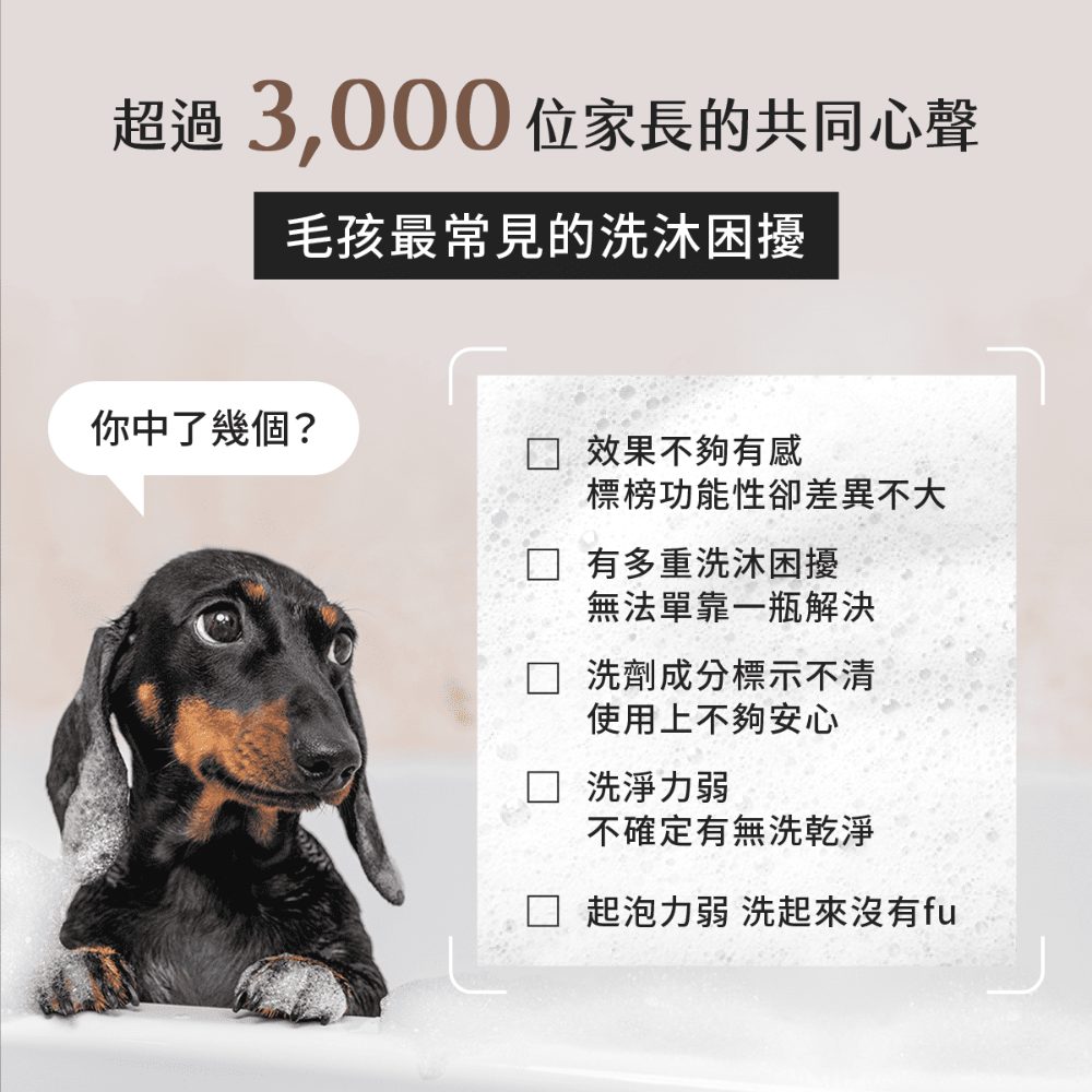 圖層 6