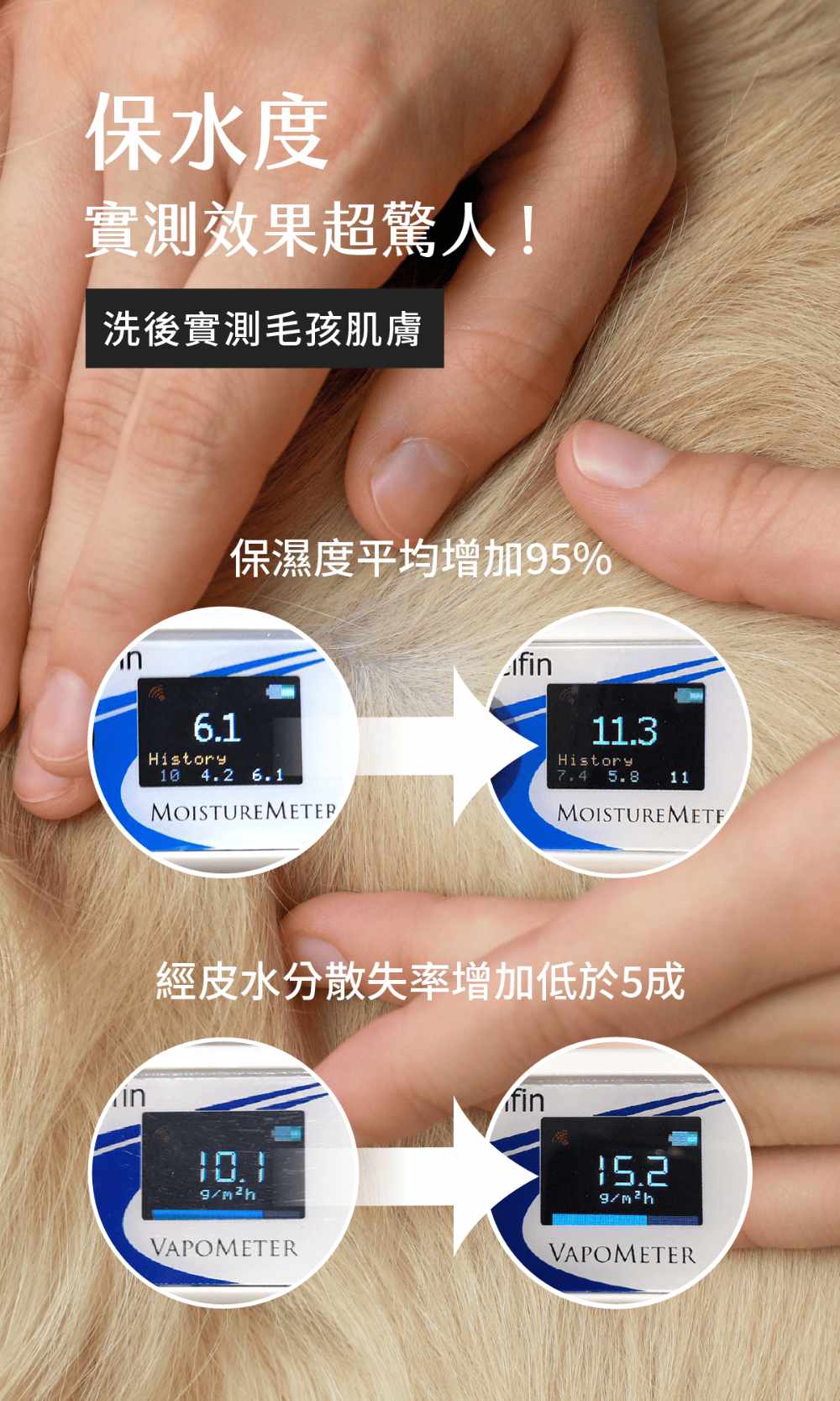 圖層 10