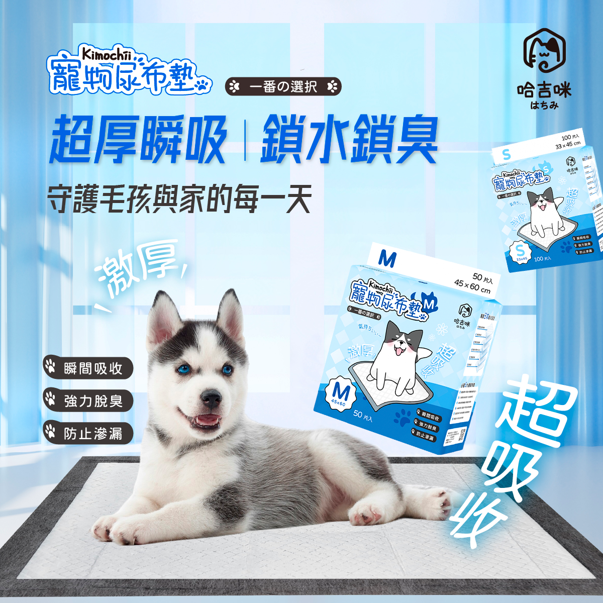 01哈吉咪-kimochii寵物尿布墊v4-產品介紹1200x1200px_工作區域 1