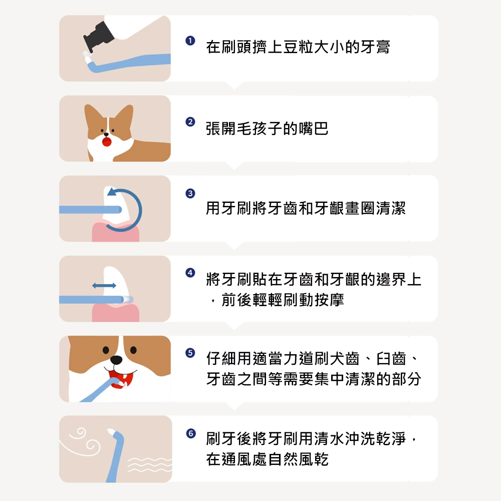 圖層 4