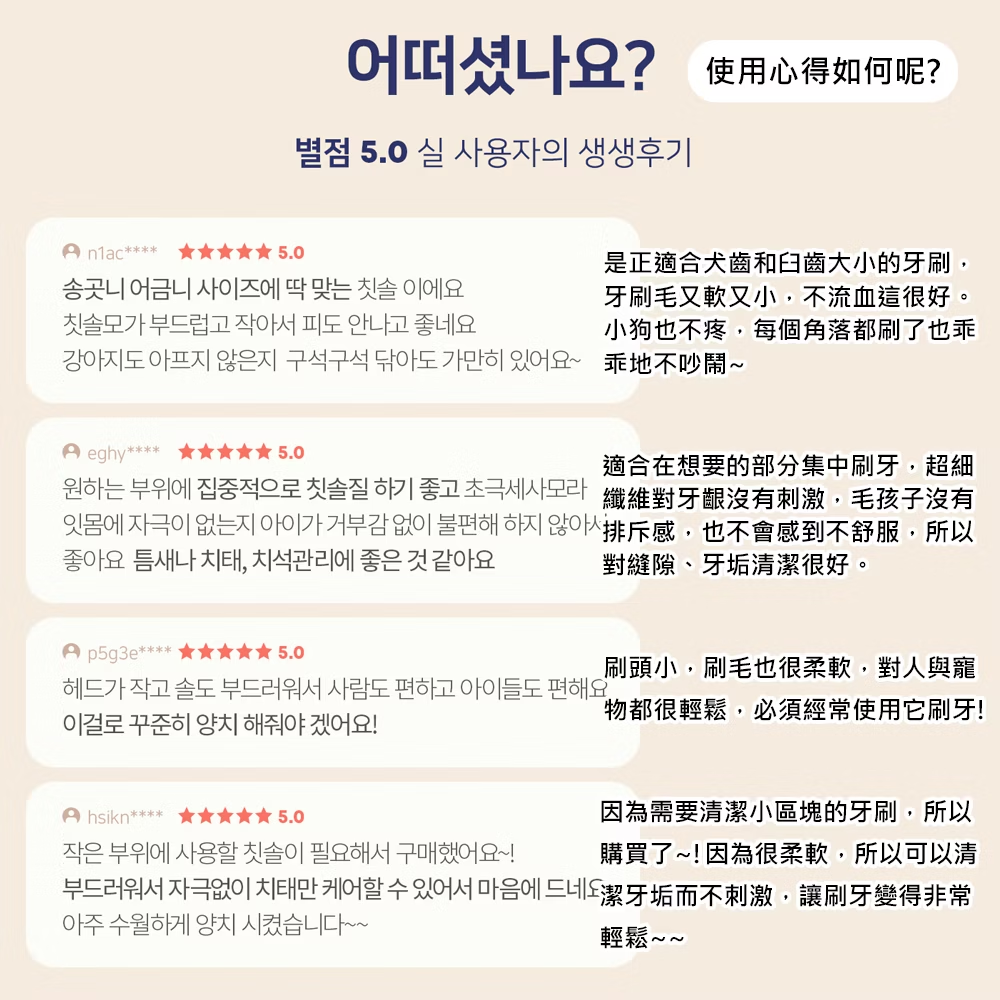 圖層 5