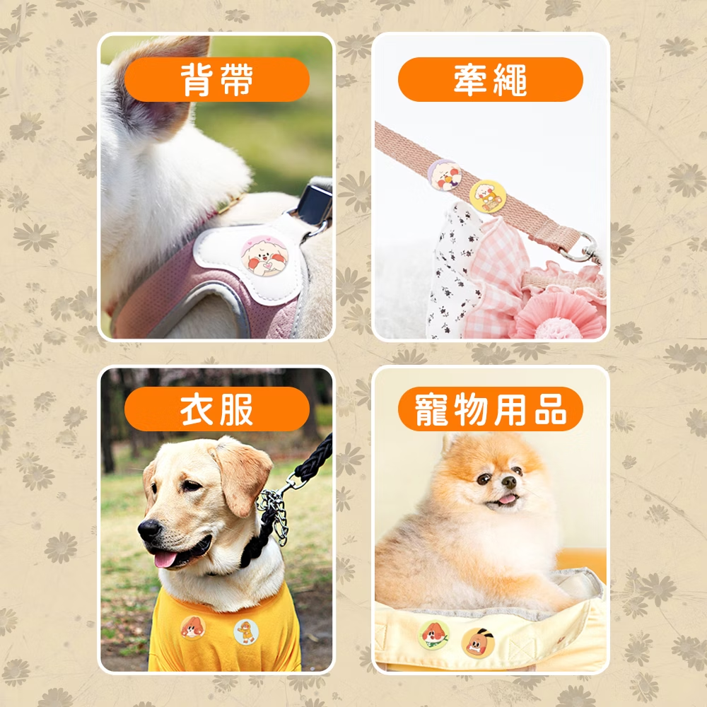 圖層 5