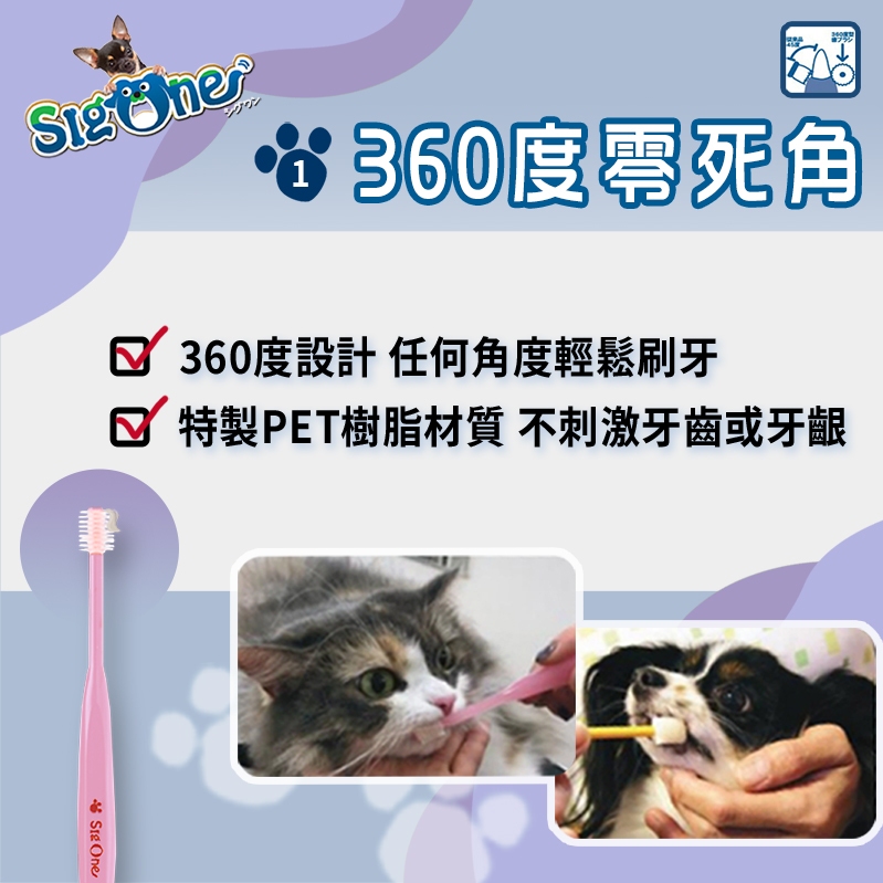 LINE_ALBUM_日本360度牙刷_250618_1