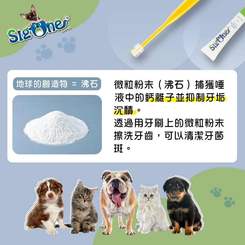 LINE_ALBUM_日本牙膏沸石犬用_250618_5