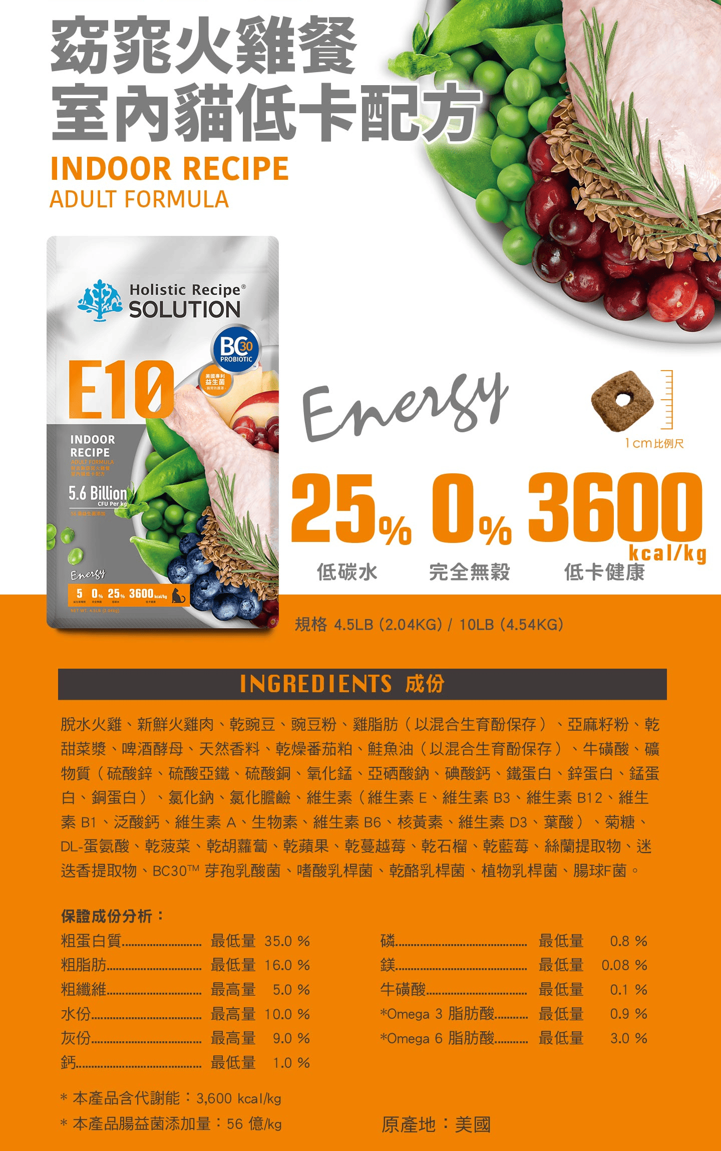 E10