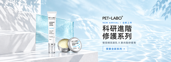 | 哈吉咪寵物商城