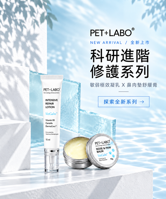  | 哈吉咪寵物商城