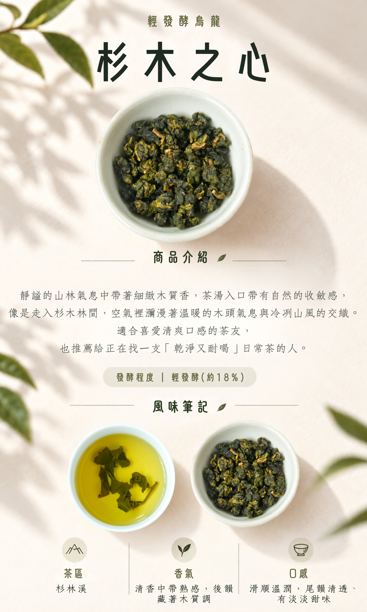 茶葉-杉木之心