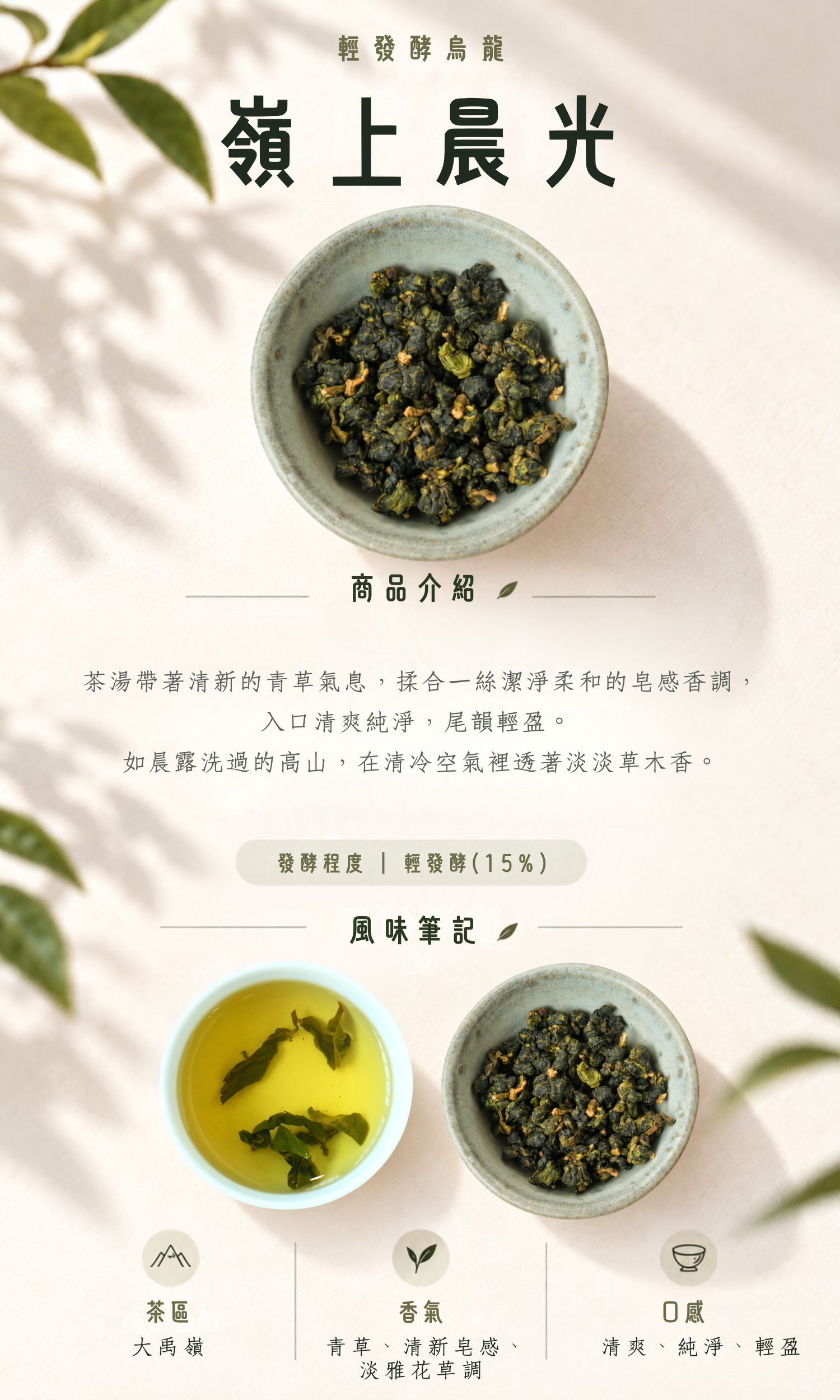 茶葉-嶺上晨光