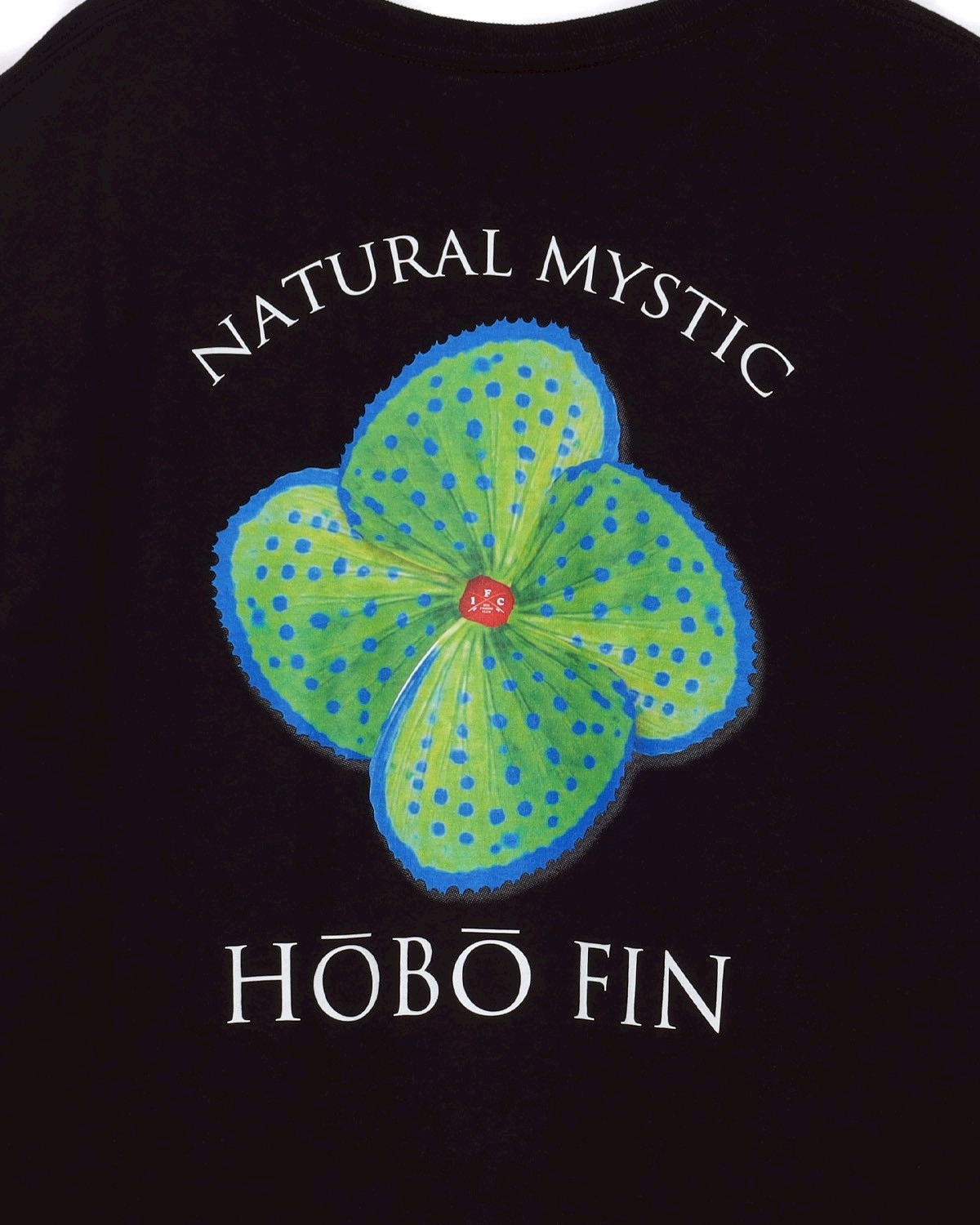 LINE_ALBUM_IFC 214 発売_260212_65