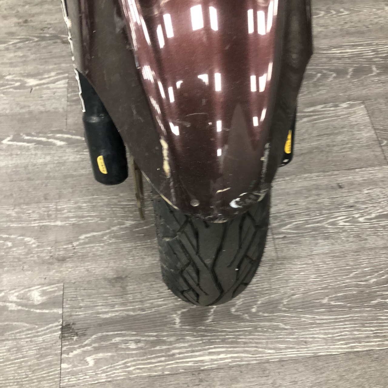S__241434649_0