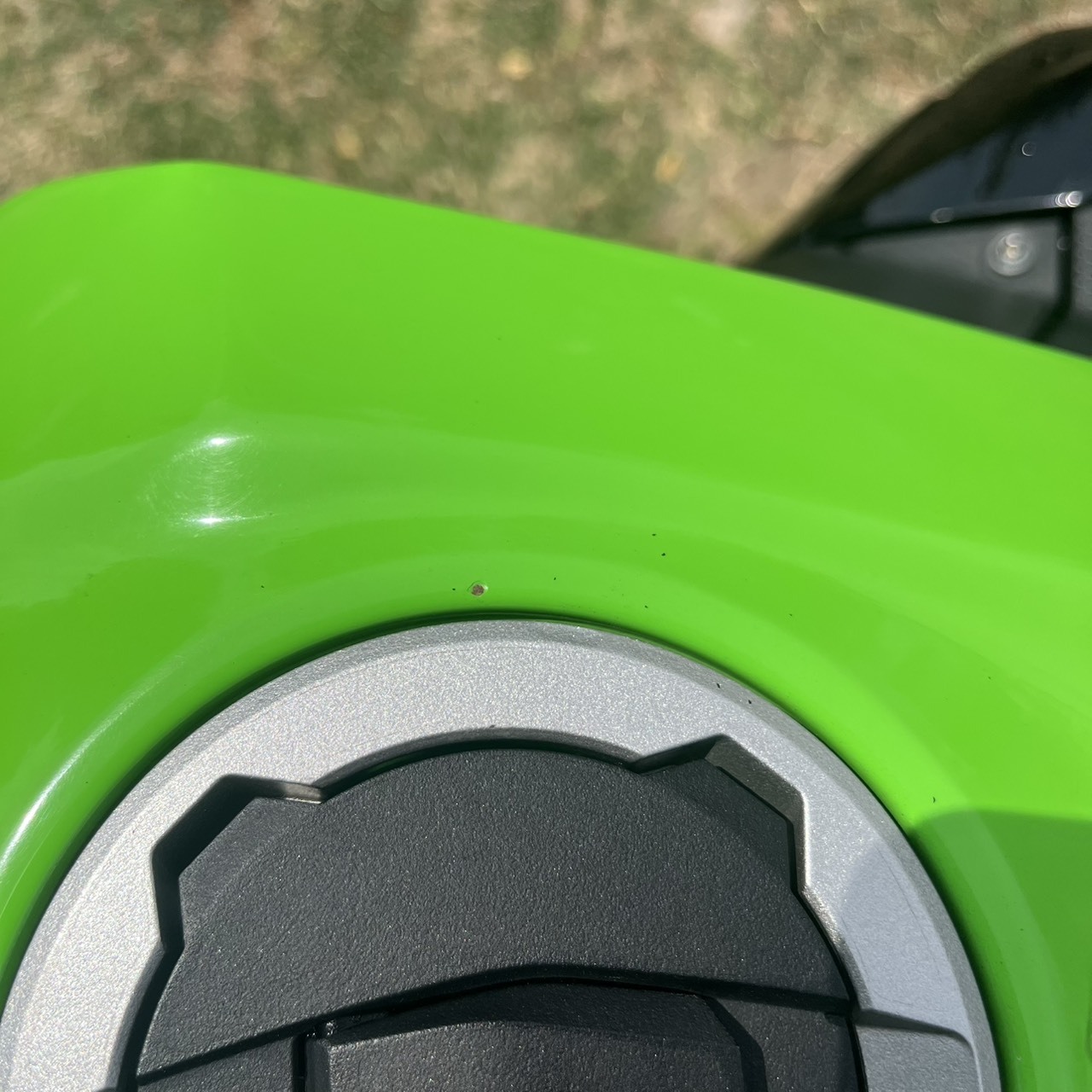 S__235741194_0