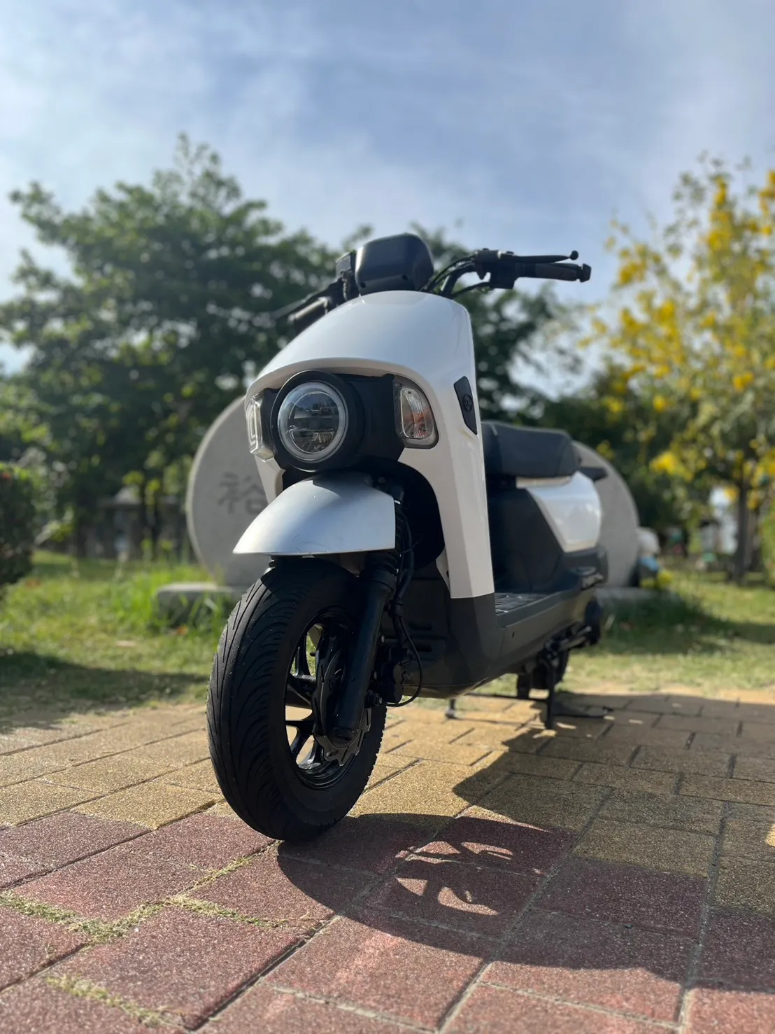 S__235782150_0