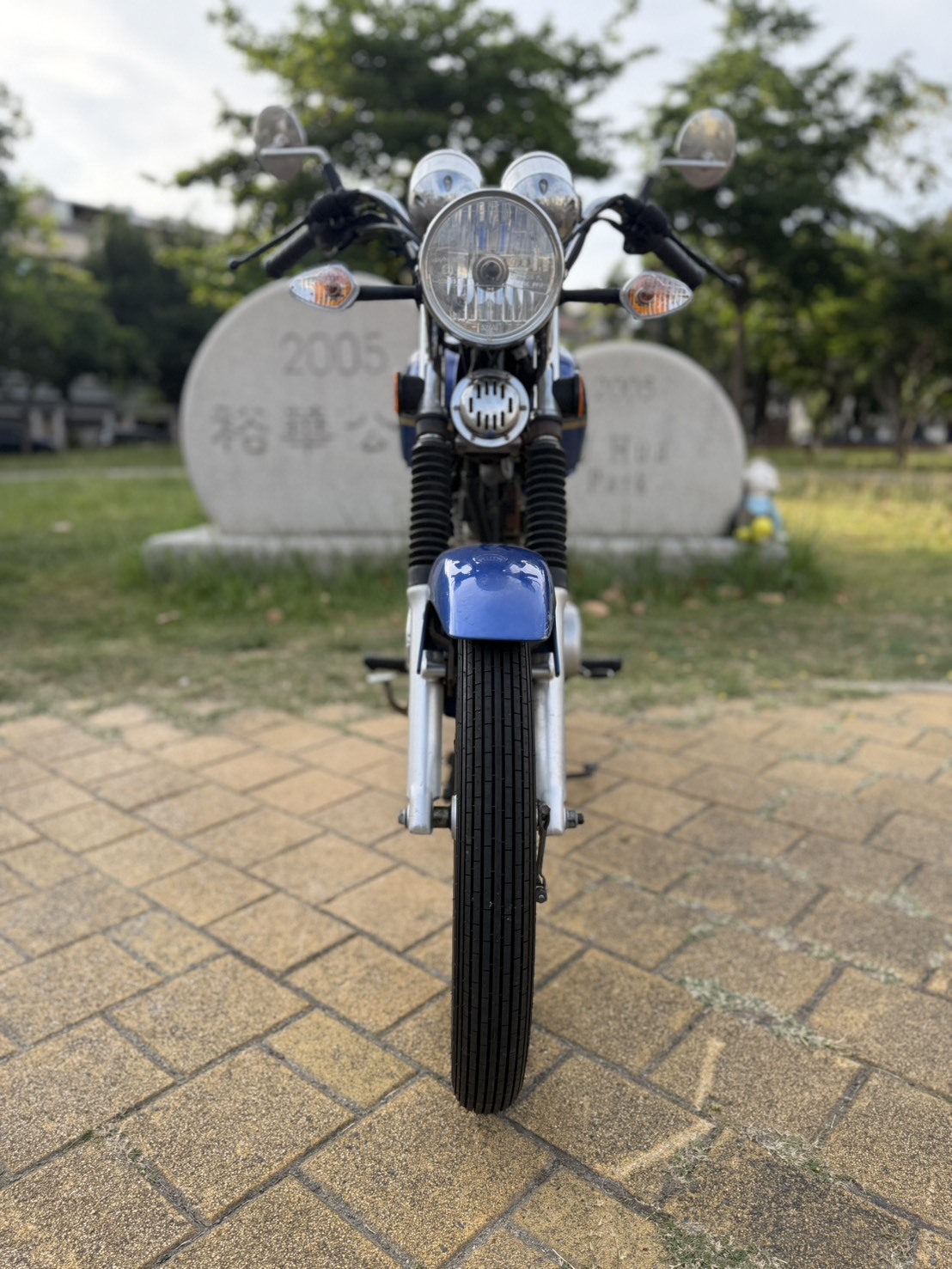 S__39682063_0