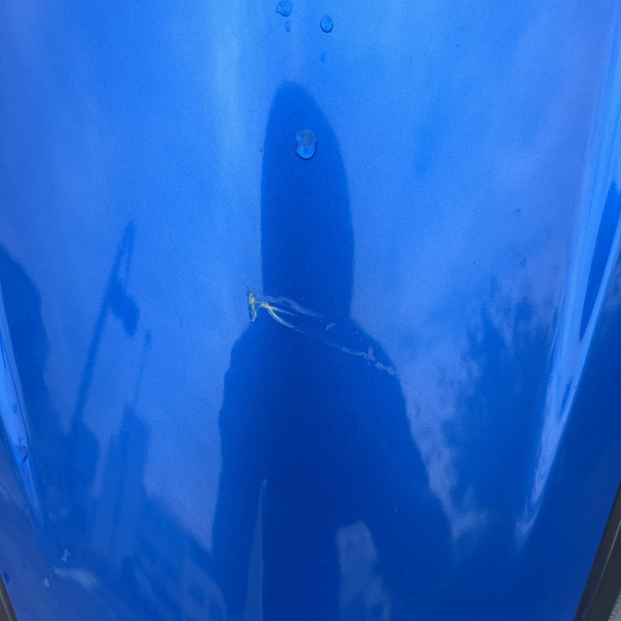 S__236462095_0